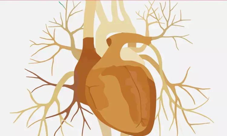 CABG Results Vary According To Sex In Single Vs Multiple Arterial Grafts: JAMA