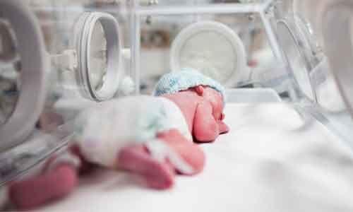 ARA And DHA May Improve Brain Maturation In Immature Infants, Finds Study