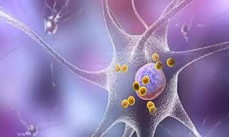 Vitamin E And Vitamin C Intake May Lower Risk Of Parkinson'S Disease: Study