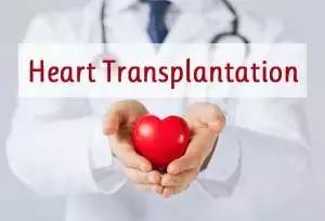 Heart Transplantation: Donation After Circulatory Death Feasible, Study Suggests