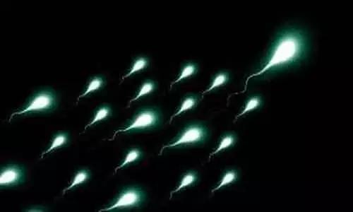 Antioxidant Supplements Have No Role In Male Infertility, NIH Study Suggests