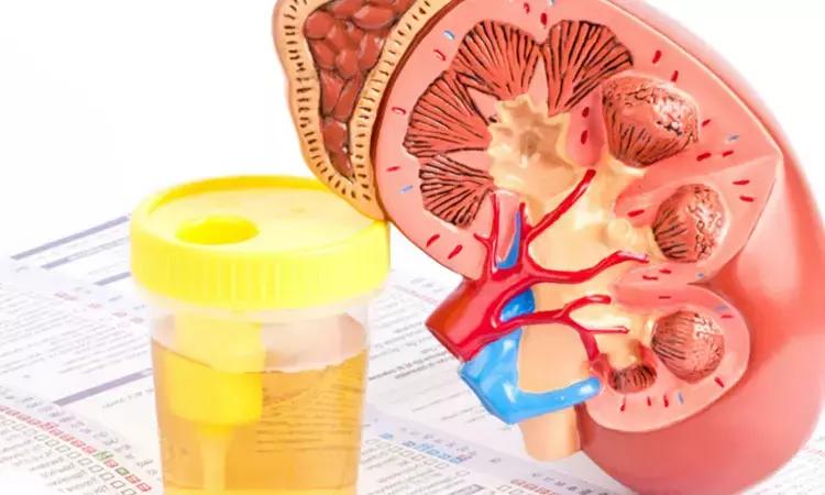 Leukocyturia And Hb Early Indicators Of Kidney Injury Among Heat-Stressed Male Workers
