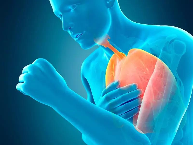 Hypoxia Linked To Neutrophil-Mediated Endothelial Damage In COPD, Study Reveals