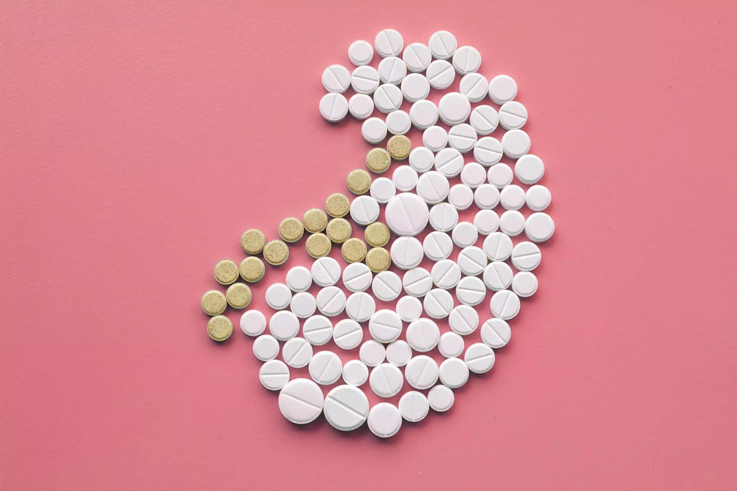 Prednisone Combined With Mycophenolate Mofetil Effective In Immunoglobulin A Nephropathy With Renal Dysfunction
