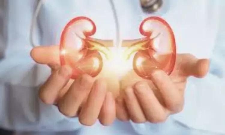 Donor Kidneys With Toxoplasma Do Not Increase Risks For Transplant Patients, Suggests Research
