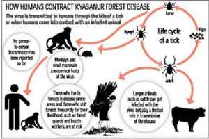Goa Records Seventh Monkey Disease Death