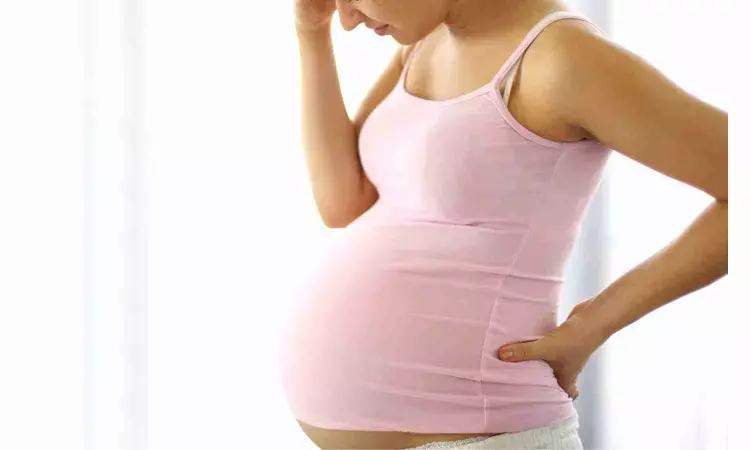 Phthalate Exposure During Second And Third Trimester Of Pregnancy May Impact Fetal Growth And Development: Study