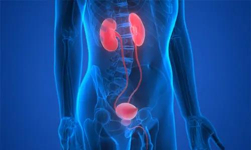 Inflammatory Diets Linked To Development Of Urologic Cancers