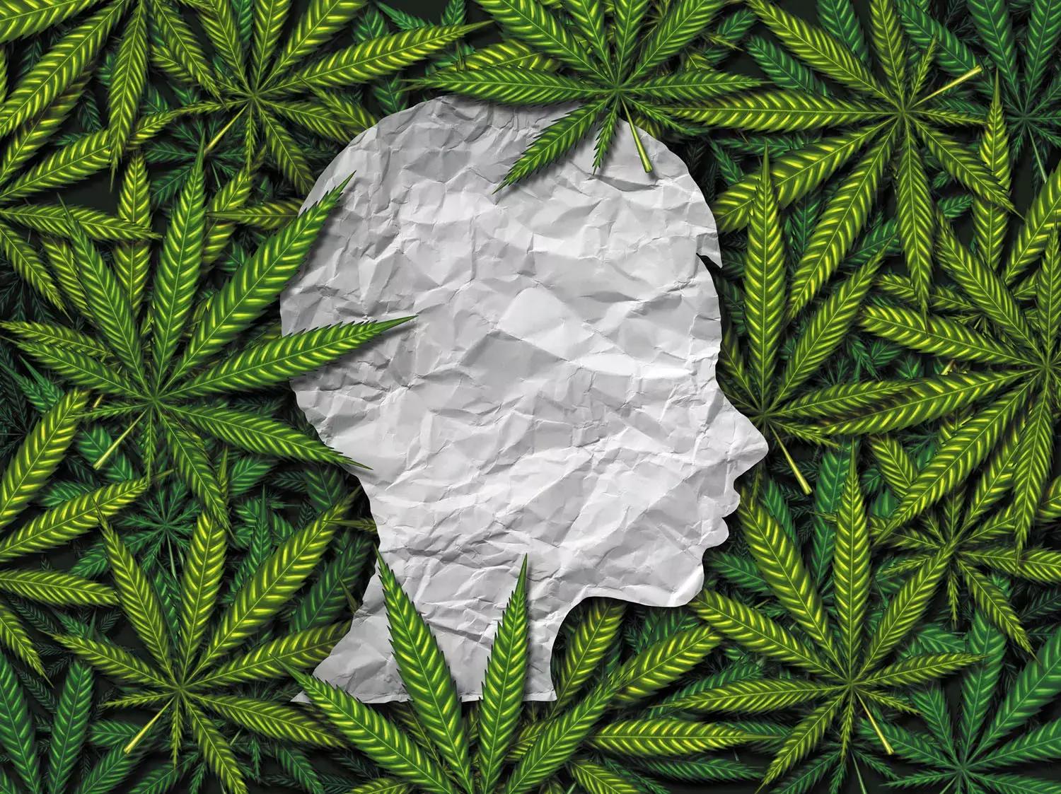 Cannabis Use Among Youths Increases The Risk Of Self-Harm And Homicide
