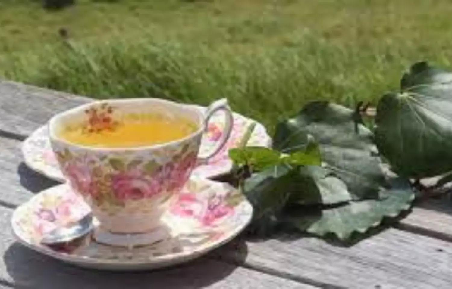 Intake Of Kawakawa Tea Beneficial For Postprandial Insulin Response, Study Finds