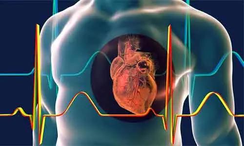 CAD And CMD Common In HFpEF Patients And May Serve As Therapeutic Targets: JAMA