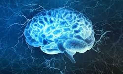 Nutritional Supplementation Improves Cognitive Function In Malnourished Children: BMJ